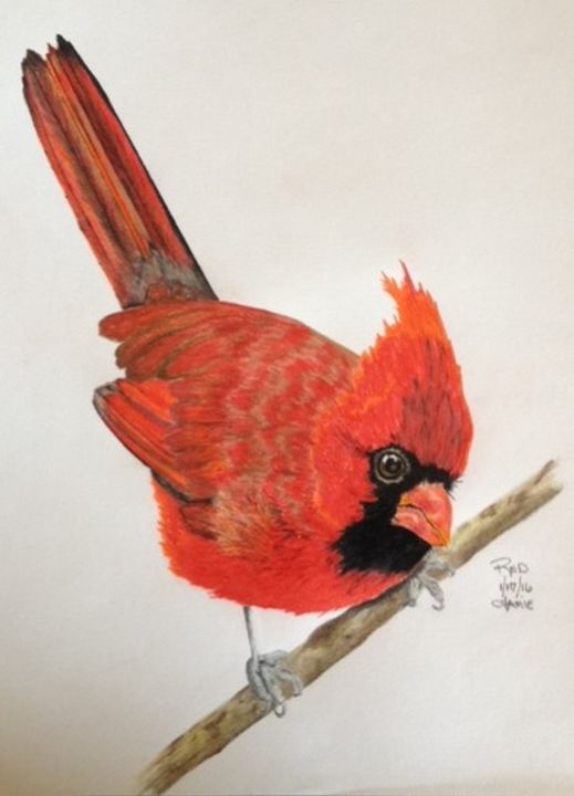 Dessin intitulée "Red" par Jamie Silker, Œuvre d'art originale, Crayon