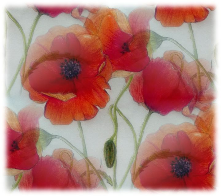 Drawing titled "Poppies" by Jamie Silker, Original Artwork, Digital Photography