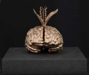 Sculpture titled "The Brain of the 1s…" by Jan Fabre, Original Artwork