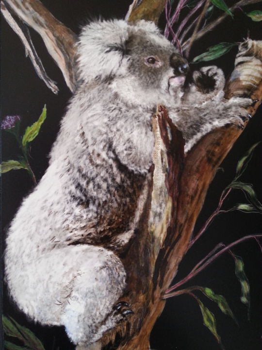 Drawing titled "Hissy, the Koala" by Jan Lowe, Original Artwork, Watercolor Mounted on Wood Panel