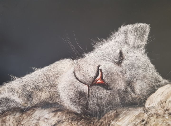 Drawing titled "Old Lioness Dreamin…" by Jan Lowe, Original Art, Ink