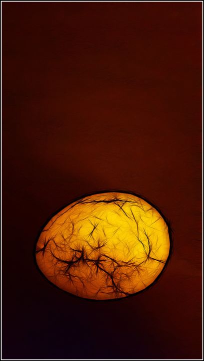 Photography titled "Egg from an early b…" by Jan Schrijver, Original Artwork