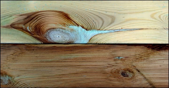 Photographie intitulée "The beauty of wood." par Jan Schrijver, Œuvre d'art originale