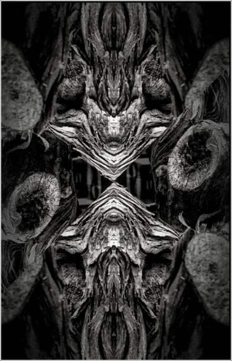 Photography titled "Two faces" by Jan Schrijver, Original Artwork, Digital Photography