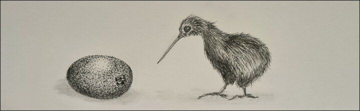 Tekening getiteld "Kiwi" door Jan Schrijver, Origineel Kunstwerk, Inkt