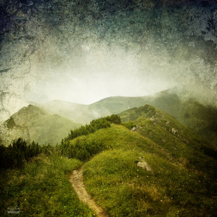 摄影 标题为“Wandering” 由Janek Sedlar, 原创艺术品, 数码摄影