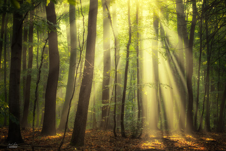 Фотография под названием "When the sun touch…" - Janek Sedlar, Подлинное произведение искусства