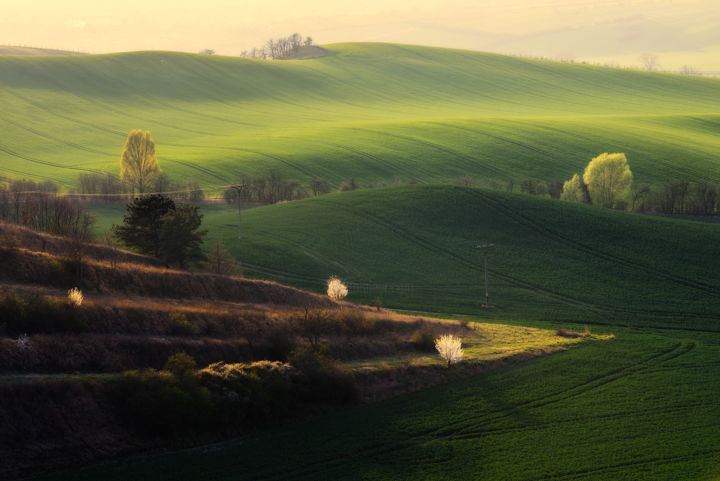 Photographie intitulée "Spring in moravia" par Janek Sedlar, Œuvre d'art originale