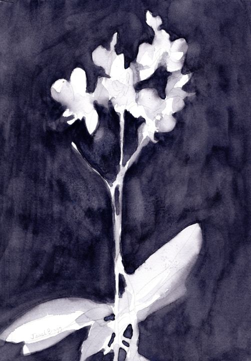 Картина под названием "Orchid Impression i…" - Janel Bragg, Подлинное произведение искусства, Акварель