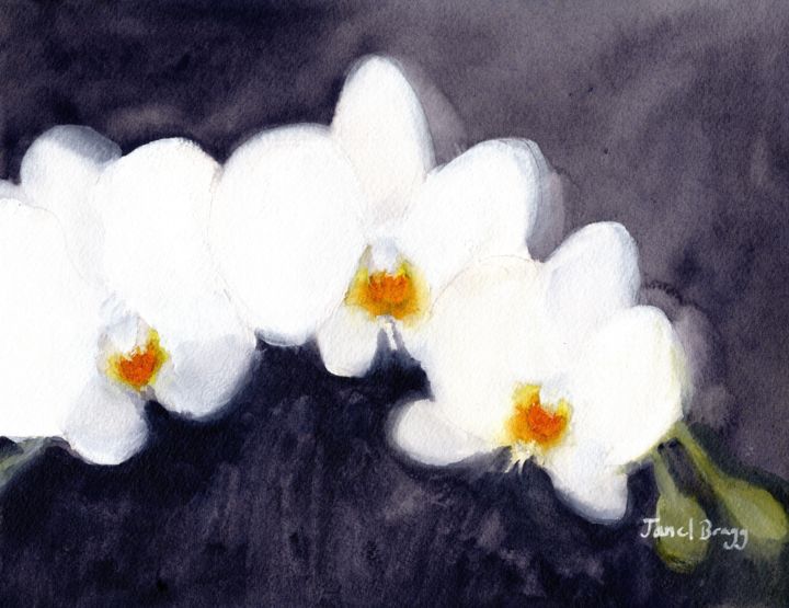 Painting titled "Orchid White Phalae…" by Janel Bragg, Original Artwork, Watercolor