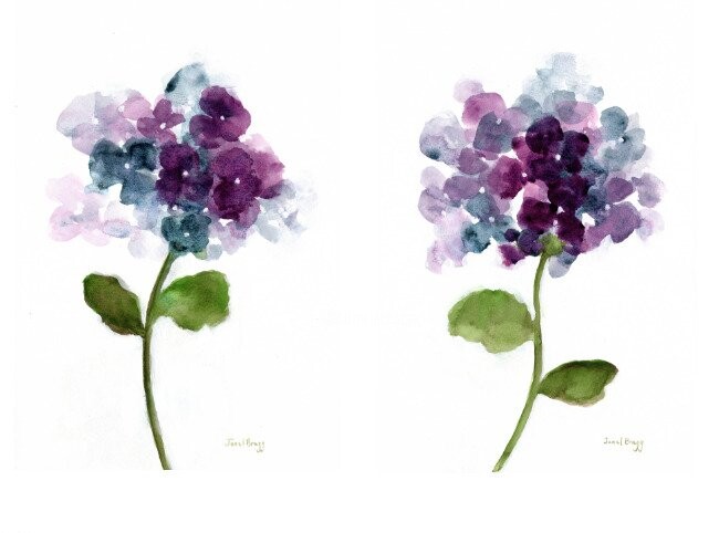 Peinture intitulée "Floral with Hydrang…" par Janel Bragg, Œuvre d'art originale, Aquarelle