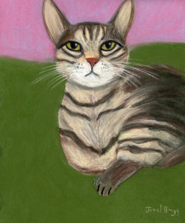 Картина под названием "Annabelle Tabby Cat…" - Janel Bragg, Подлинное произведение искусства, Пастель