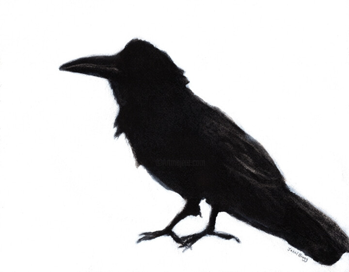 Peinture intitulée "Raven at Baker Beac…" par Janel Bragg, Œuvre d'art originale, Fusain