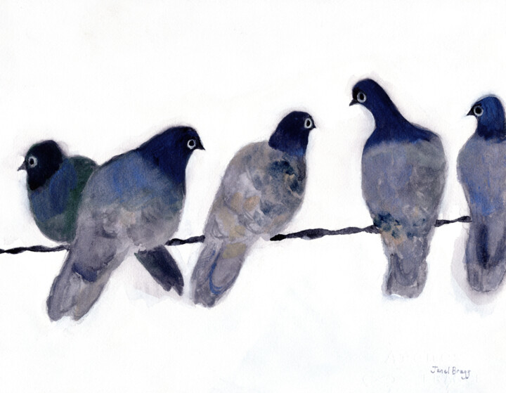 Schilderij getiteld "Pigeons from Anacor…" door Janel Bragg, Origineel Kunstwerk, Aquarel