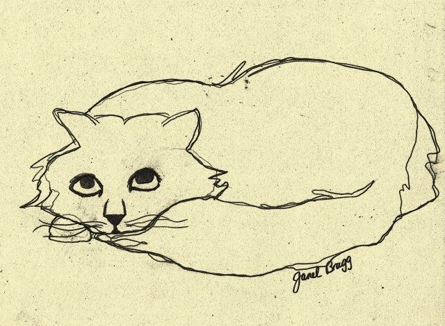 Картина под названием "Thomas the Cat" - Janel Bragg, Подлинное произведение искусства