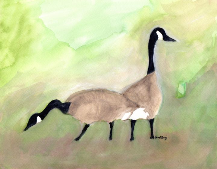 "Canadian Geese at K…" başlıklı Tablo Janel Bragg tarafından, Orijinal sanat, Suluboya