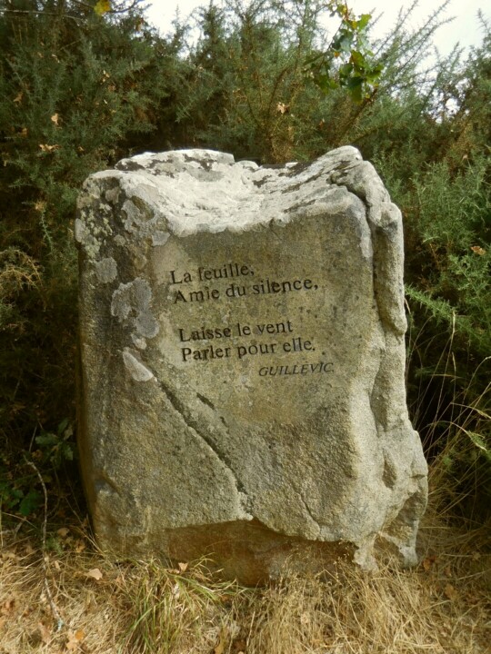 "Jolie citation.…" başlıklı Fotoğraf Janie B. tarafından, Orijinal sanat