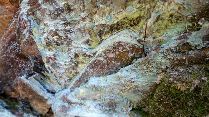 Photography titled "Roche et lichen.…" by Janie B., Original Artwork