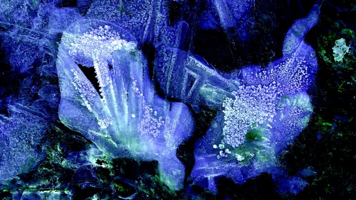 Fotografie getiteld "Abstraction glacée…" door Janie B., Origineel Kunstwerk, Digitale fotografie