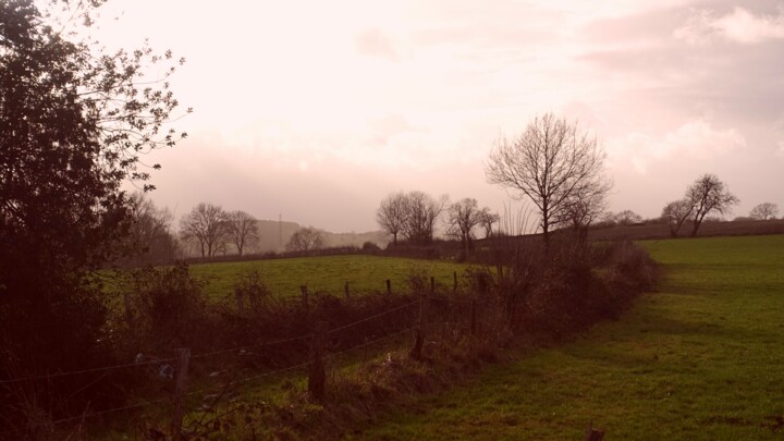 Fotografía titulada "Paysage ardennais.…" por Janie B., Obra de arte original