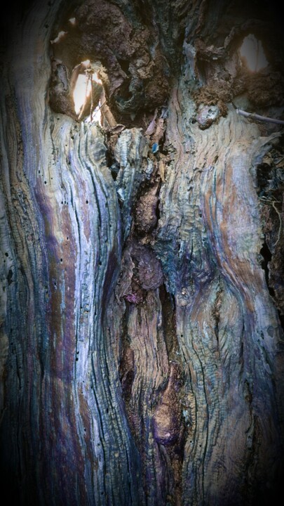 Photography titled "Au coeur de l'arbre…" by Janie B., Original Artwork