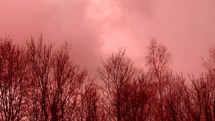 Fotografie mit dem Titel "Ciel rosé en hiver.…" von Janie B., Original-Kunstwerk, Digitale Fotografie