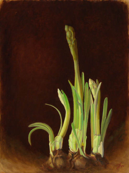 Painting titled "Narcissus Bridal Cr…" by Janny Pieck-Plantinga, Original Artwork, Oil