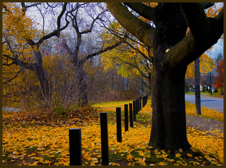 Photographie intitulée "Fall landscape" par Janos Gardonyi, Œuvre d'art originale, Photographie numérique