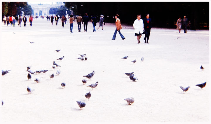 Photography titled "pidgeons de Paris" by Janos Gardonyi, Original Artwork, Analog photography