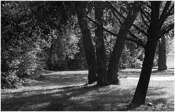 Φωτογραφία με τίτλο "a quiet place" από Janos Gardonyi, Αυθεντικά έργα τέχνης