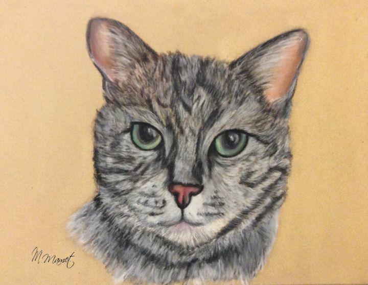 Dessin intitulée ""Mon Chat"" par Méline Mamet, Œuvre d'art originale, Pastel Monté sur Verre