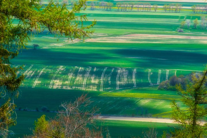 Φωτογραφία με τίτλο "printemps sur les c…" από Jarek Witkowski, Αυθεντικά έργα τέχνης