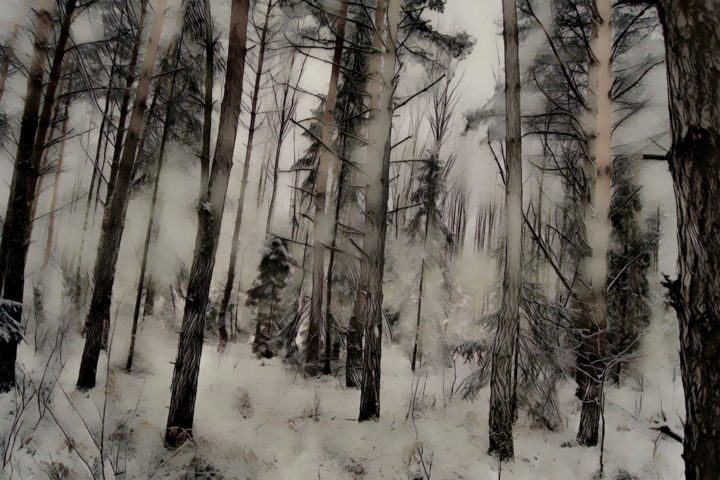 Fotografia intitolato "Hiver dans la forêt…" da Jarek Witkowski, Opera d'arte originale