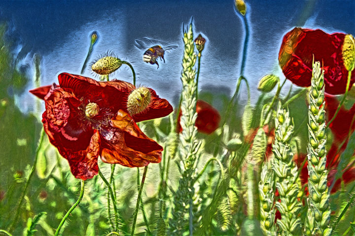 Photography titled "coquelicots dans le…" by Jarek Witkowski, Original Artwork, Manipulated Photography