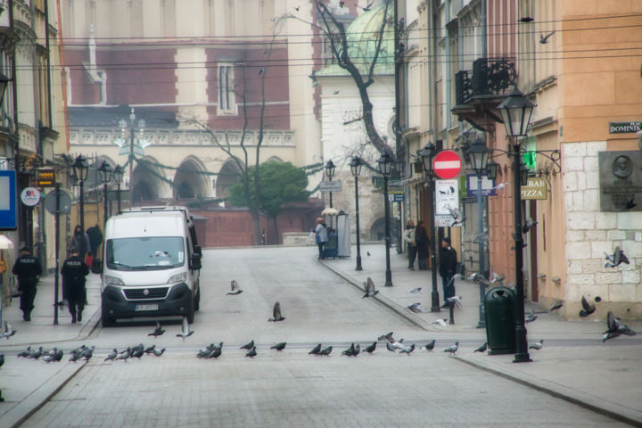 Fotografie mit dem Titel "où pigeons marchant…" von Jarek Witkowski, Original-Kunstwerk