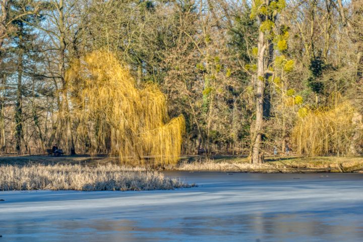 Photography titled "prévu fin d'hiver" by Jarek Witkowski, Original Artwork