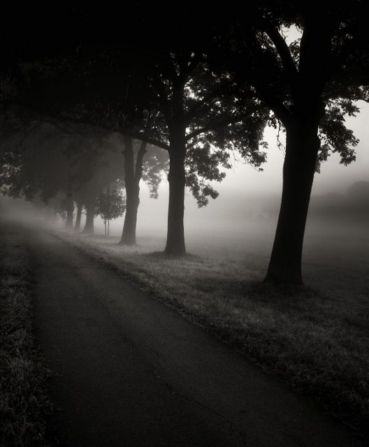 Photography titled "Alley" by Jaromir Hron, Original Art,