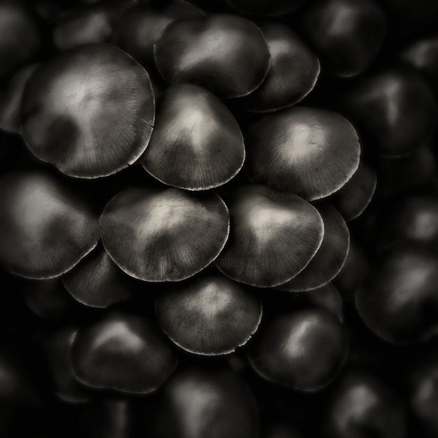 Photographie intitulée "Balls" par Jaromir Hron, Œuvre d'art originale