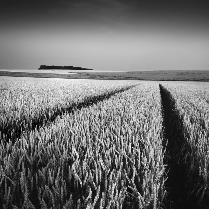 Fotografía titulada "Summer sea..." por Jaromir Hron, Obra de arte original