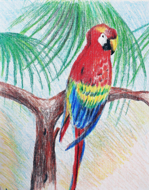 Painting titled "Parrot" by Jason Allen Greig, Original Artwork, Pencil