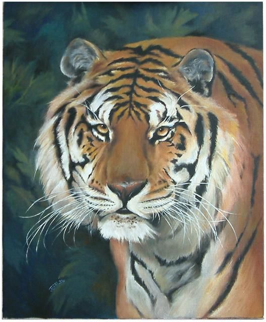 Painting titled "Eyes of Tiger" by Jb34, Original Artwork