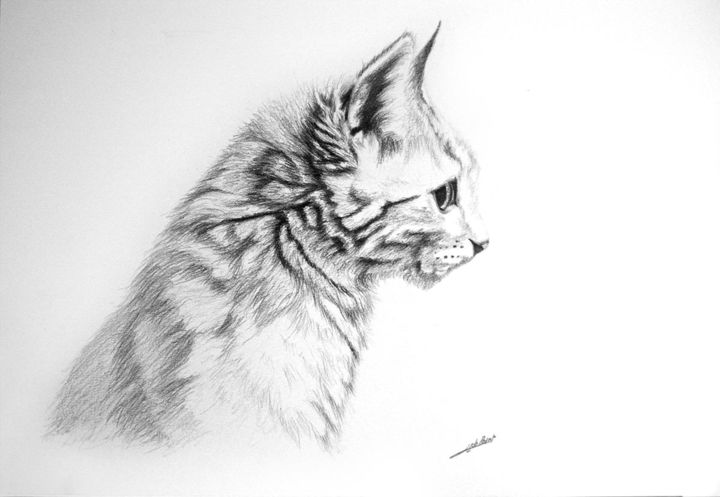 Dessin De Chat Drawing By Jean Baptiste De Poret Artmajeur