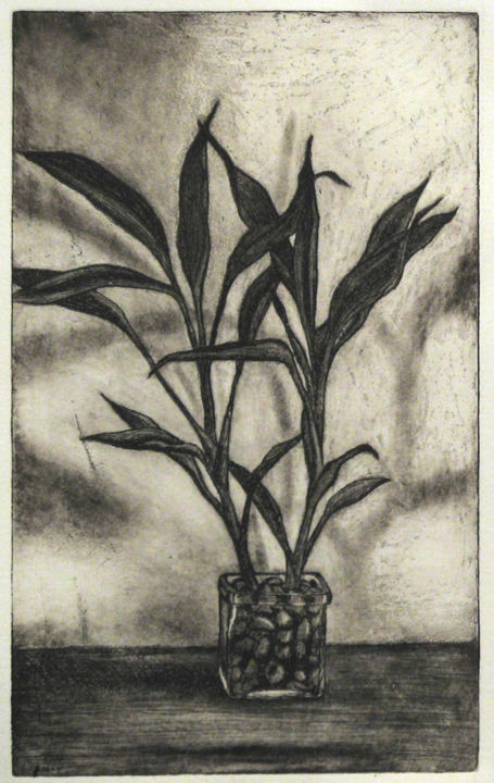 Printmaking titled "Hydroponic" by Jonathan Beck, Original Artwork, Etching