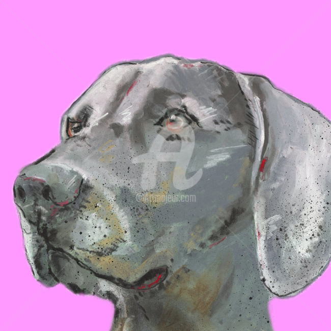 Drawing titled ""Weimaraner" A Limi…" by Jb Studio, Original Artwork, Pastel