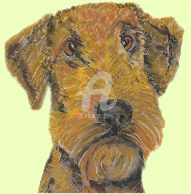 ""Welsh Terrier " A…" başlıklı Resim Jb Studio tarafından, Orijinal sanat, Karakalem
