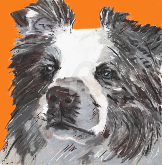 Printmaking titled "border collie A Lim…" by Jb Studio, Original Artwork, Digital Print