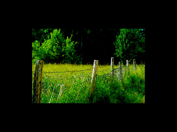 Photographie intitulée "Campagne" par Jc Colliot, Œuvre d'art originale, Photographie non manipulée