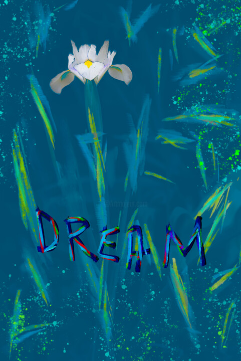 摄影 标题为“Dream” 由Jean-Christophe Mandelli, 原创艺术品, 数字油画
