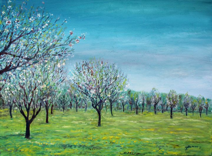 Painting titled "almond-trees-field.…" by José A Cavaco, Original Artwork, Oil