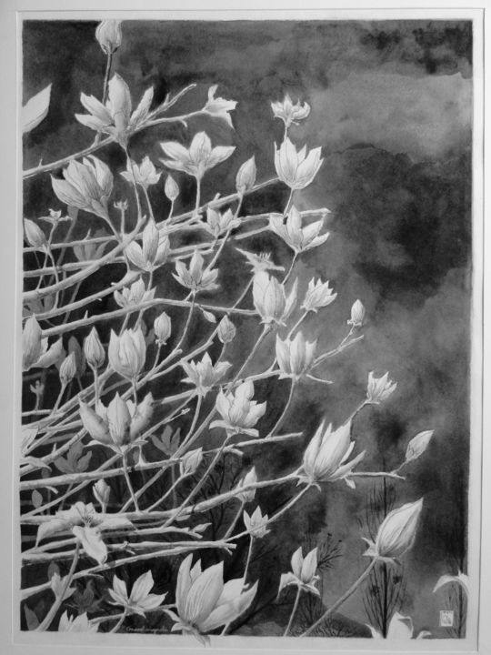 Drawing titled "Grand magnolia" by Jean-Christophe Sylvos, Original Art, Ink